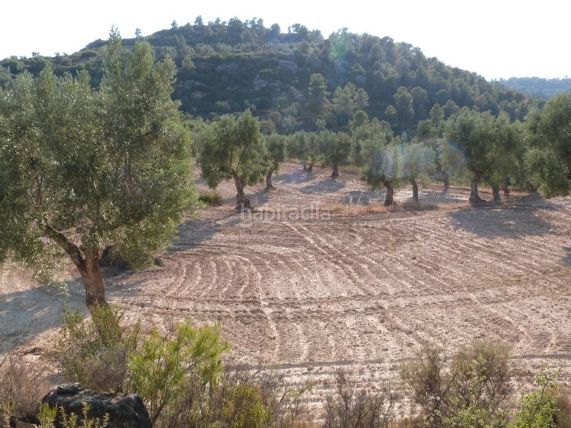 Foto a14b54ad-49ae-40eb-bf3d-065aadecd4c4. Masia a Calaceite