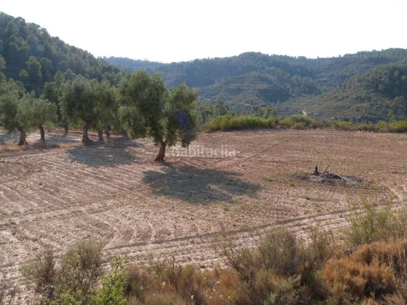 Foto e7b28a0e-a8f3-436e-a499-efe6fce65df1. Masia a Calaceite