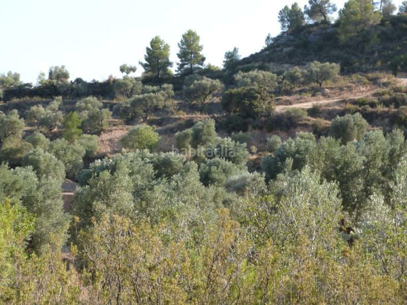 Foto f0453e91-58dc-4859-8a90-382683e1494f. Masia a Calaceite