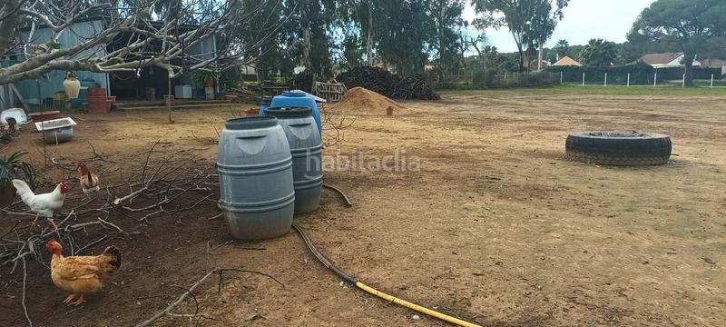 Foto 2d975889-18c5-42dd-bea0-ca6d366c480c. Propriété dans Centro - Doña Mercedes Dos Hermanas