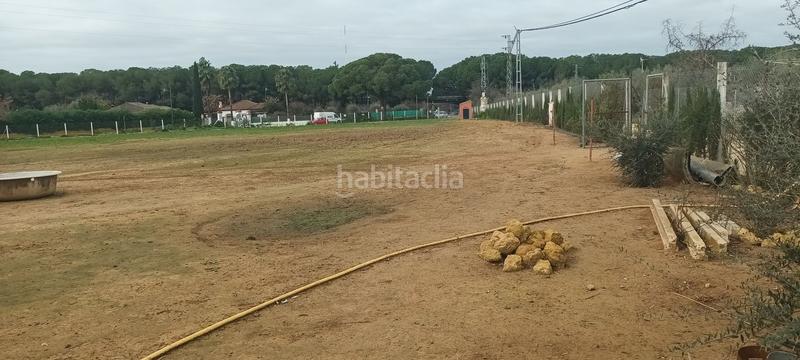 Foto 7073b7b4-eee1-408d-b79b-c5d0d067deee. Propriété dans Centro - Doña Mercedes Dos Hermanas