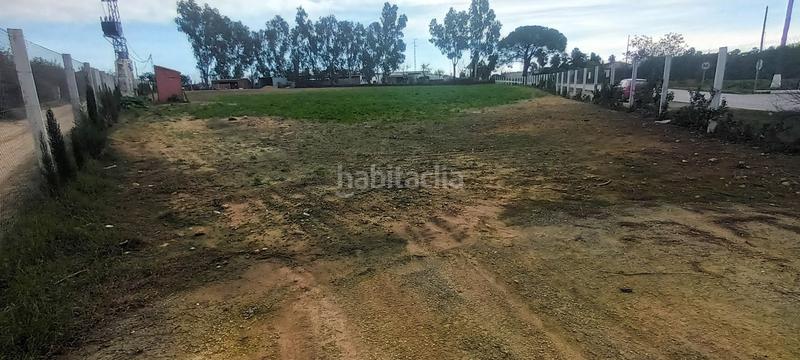 Foto 753c2360-197a-4410-ad43-959ed4d82735. Propriété dans Centro - Doña Mercedes Dos Hermanas