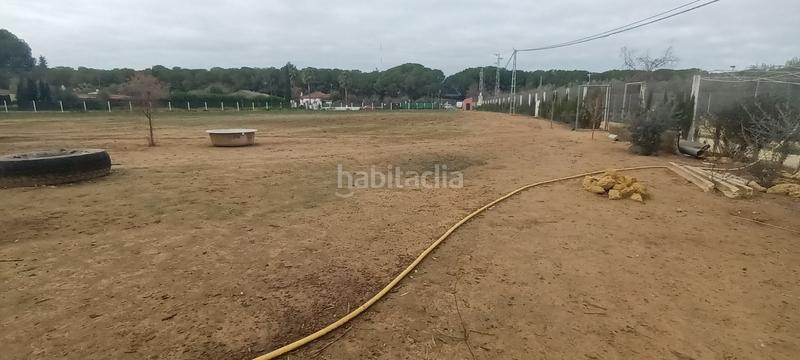 Foto 96895f74-4d6f-4171-bf42-0c02e7a706da. Propriété dans Centro - Doña Mercedes Dos Hermanas