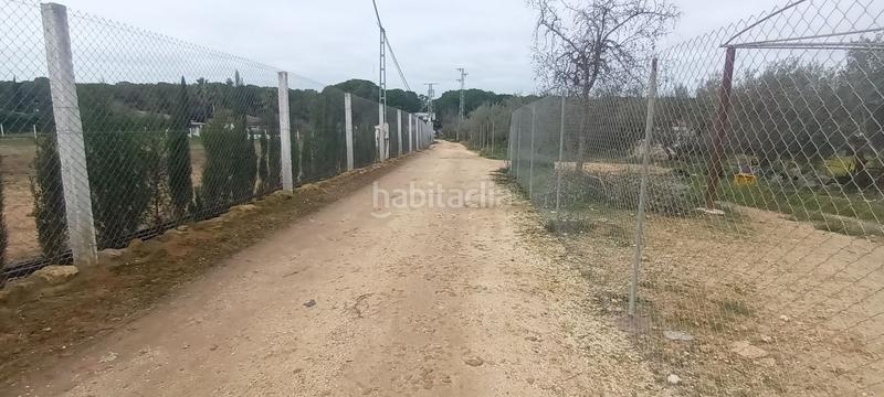 Foto f8835894-e09f-4166-93cf-7c3c978154c2. Propriété dans Centro - Doña Mercedes Dos Hermanas