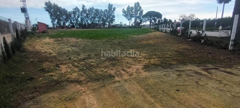 Foto 5f5ded06-96e2-4859-9570-7c965c32f99c. Finca rústica en Centro - Doña Mercedes Dos Hermanas