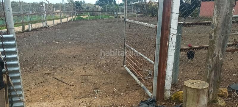 Foto 908eb422-e88b-4122-9f2f-56d2a921190b. Finca rústica en Centro - Doña Mercedes Dos Hermanas