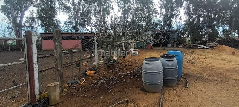 Foto 92c4d835-18ca-44e7-90ee-523e0eaaf6bf. Finca rústica en Centro - Doña Mercedes Dos Hermanas