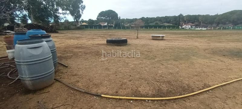 Foto cf504a2c-483b-4008-bbf9-a356d9642996. Finca rústica en Centro - Doña Mercedes Dos Hermanas