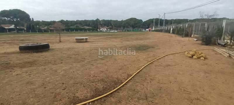 Foto d363978f-3312-445f-9033-0af37112710c. Finca rústica en Centro - Doña Mercedes Dos Hermanas