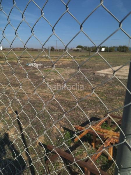 Foto 58c6f579-1365-4281-bb22-79097ef84efc. Finca rústica en La Hacienda - Nueva Andalucía Dos Hermanas