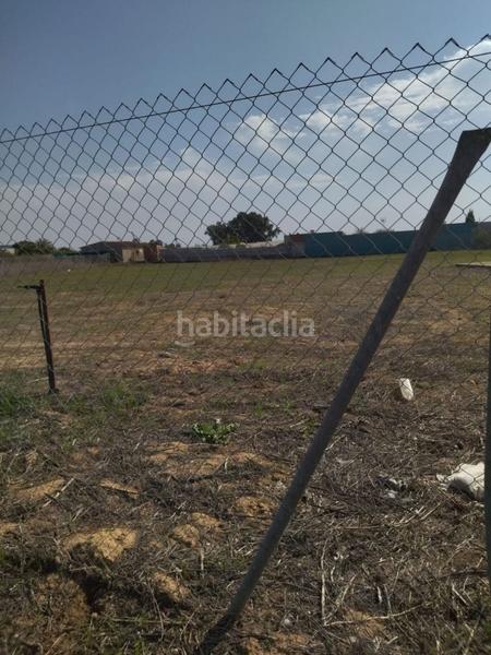 Foto 934bd850-9d92-4bbc-97be-d5d189681155. Finca rústica en La Hacienda - Nueva Andalucía Dos Hermanas