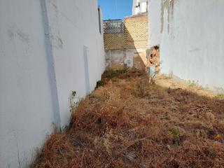 Fondo rustico  El ejido