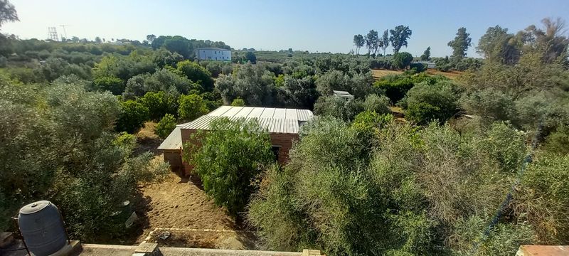 Foto 8af015fb-686b-4cf3-a0c6-5741c76508aa. Finca rústica a Pedanías Norte Utrera