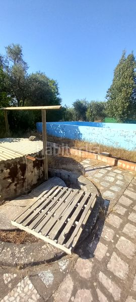 Foto de3a756d-38d9-4fff-9928-2f6d30861a32. Finca rústica a Pedanías Norte Utrera