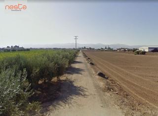 Residential Plot in La Hoya. Parcela en la hoya con 8.000 m2