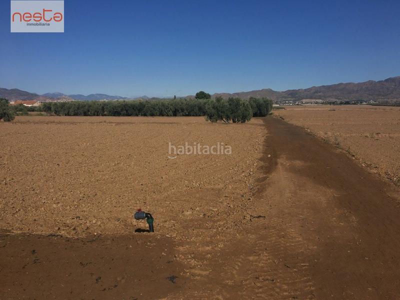 Foto 0e6c530d-bfb3-45e7-8219-a999b7409161. Terreny residencial a Aguaderas Lorca