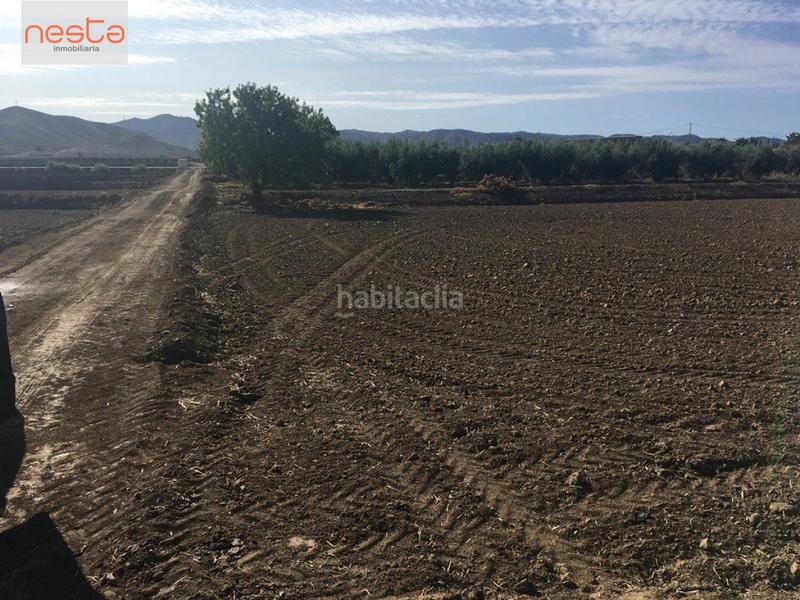 Foto 3a30fe92-1165-4eb7-bc67-b631ea71aba2. Terreny residencial a Aguaderas Lorca