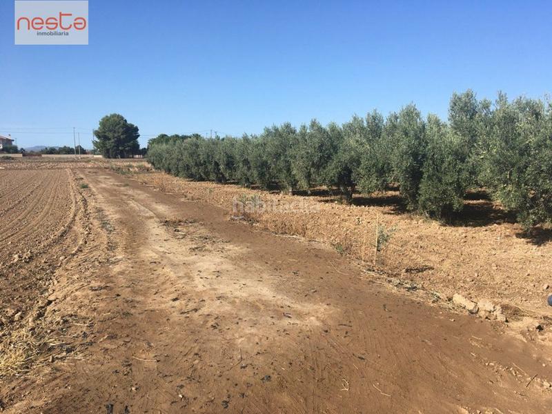Foto 40f96664-6003-4693-a890-99db02b1966d. Terreny residencial a Aguaderas Lorca