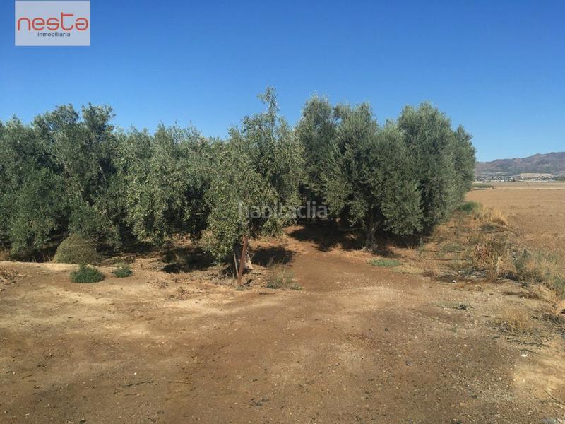 Foto b31fe658-beb7-45d1-8ccb-7709cf8c3977. Terreny residencial a Aguaderas Lorca