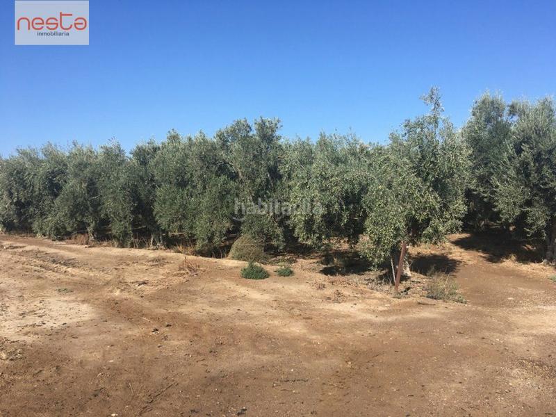Foto d6d1e84f-9a60-4334-939a-77ee9f3e134e. Terreny residencial a Aguaderas Lorca