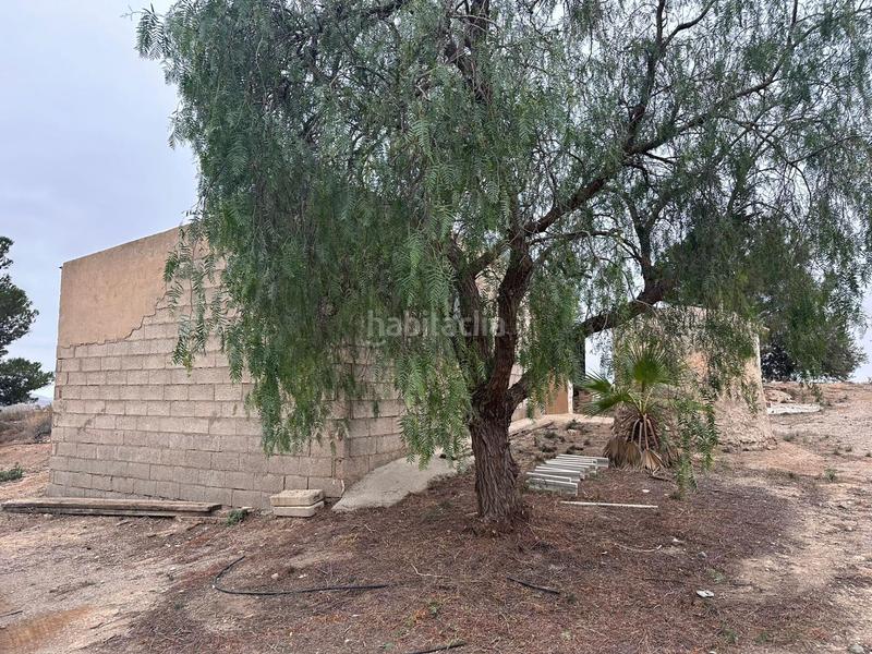 Foto 18da51f1-bcb0-4ba7-8b0a-b58ec8fbc82f. Mas dans Almendricos Lorca