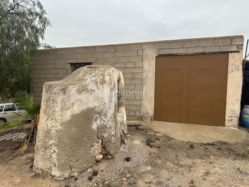 Foto 28e0c463-67b0-4387-8dbd-d301b91f2a5f. Mas dans Almendricos Lorca