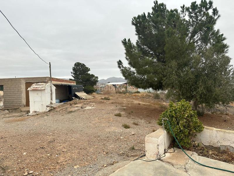 Foto e4ae4cf0-fcfb-4f3b-bf8f-9ada6f661b5f. Mas dans Almendricos Lorca