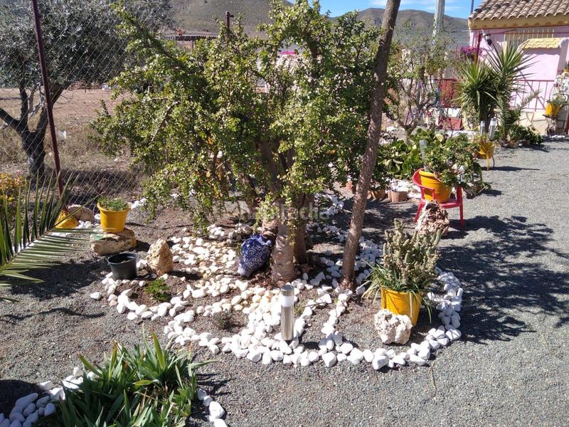 Foto 1d3b469a-5f95-4546-83d5-95a0839c5ed5. Casale in Almendricos Lorca