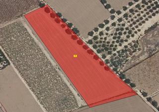 Residential Plot in Pulgara. Parcela en cazalla para construcción de chalet
