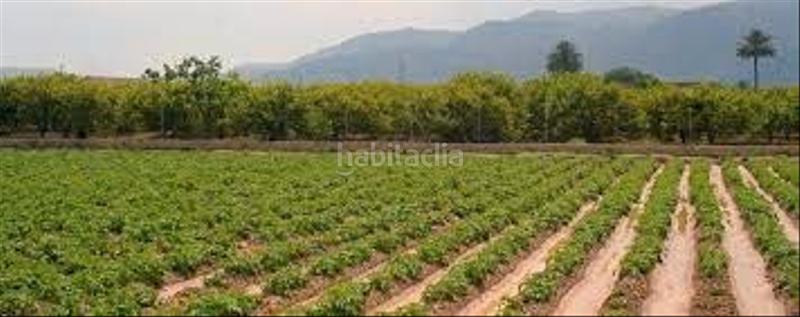 Foto a8b40bff-8eed-428c-9ba9-df0a5eedbcee. Finca rústica a Marchena Lorca