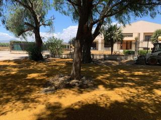 Bauernhof in Puerto Lumbreras. Estupenda finca con casa rural y piscina