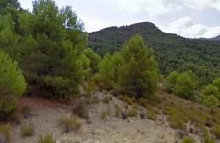 Finca rústica en Puntarrón. Venta finca en el puntarron