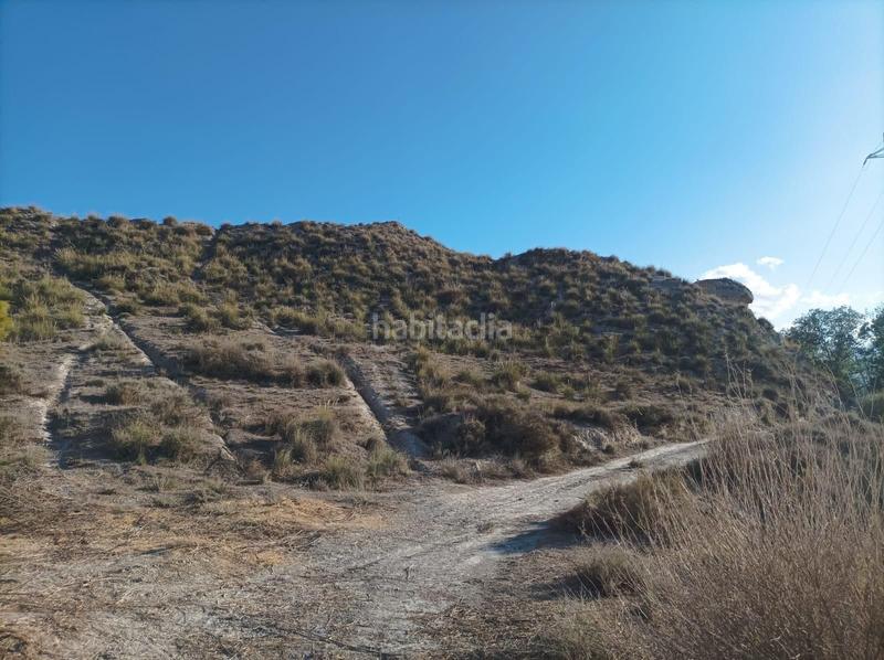 Foto 5e60cb46-466b-47c7-9890-b2da0f7fe7ca. Fondo rustico in Baza