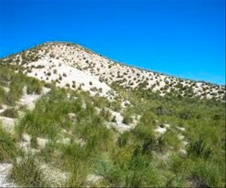 Foto f886b8f9-b4c2-4f70-86b0-413b39a21cfe. Fondo rustico in Hellín