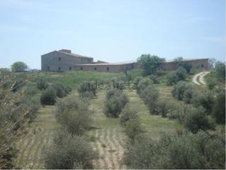 Masia a San Mateo. Venta finca rustica con cortijo y nave