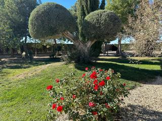 Chalet in Campillo. Espectacular chalet con jardines y piscina