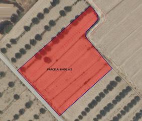 Residential Plot in Aguaderas. Parcela 6.600 m2 en aguaderas para edificar o cultivar