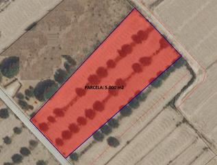 Terreno residencial en Puntarrón. Parcela 5.000 m2 en aguaderas para edificar o cultivar