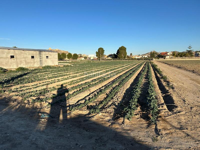 Foto 19dba043-91f7-4d99-9bb7-b18998a837db. Capannone industriale in Pulgara Lorca