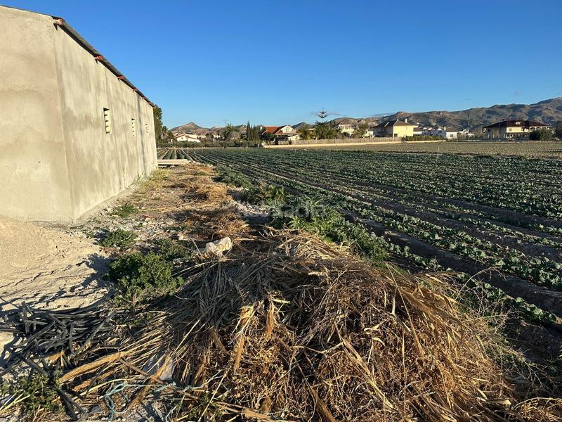 Foto 9220c26c-6c42-4c0e-800b-b91243cdc6cb. Capannone industriale in Pulgara Lorca