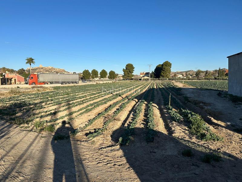 Foto a8fac6a0-9c3f-4d26-960d-2c525699a3db. Capannone industriale in Pulgara Lorca