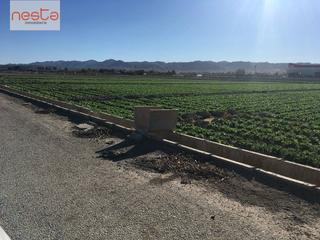 Residential Plot in Campillo. Venta parcelas en purias
