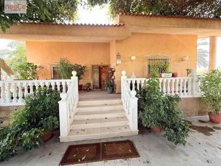 Xalet a La Hoya. Chalet con parcela, 4 dorm.  2 baños con jardín y 39 olivos en p