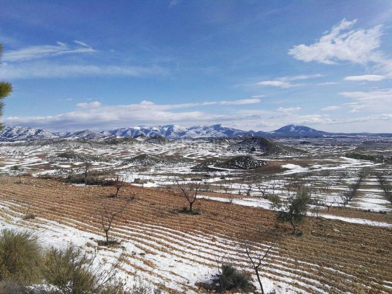 Foto 15a0b077-c6b0-43f6-9fc7-9dea2d7a1617. Masia a Coy Lorca