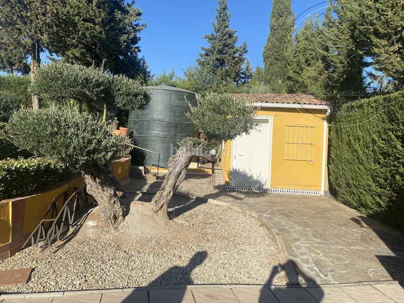 Foto 188ce11e-d6fc-4592-b1ef-1802634e2cc5. Planta baixa a Guarromán