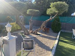 Planta baixa  De baos a linares. Casa o chalet en venta en carretera de baos a linares, guarrom