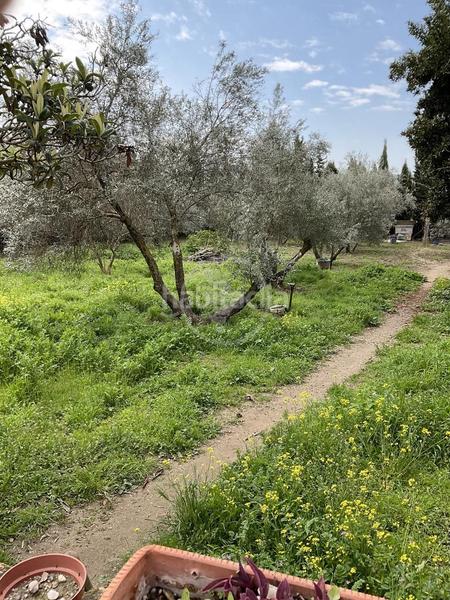 Foto 318f24ff-6ac2-40a6-b466-9ec7adc8751c. Masia amb piscina a Centro ciudad Linares