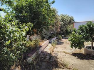 Masia  De la tortilla. Venta parcela