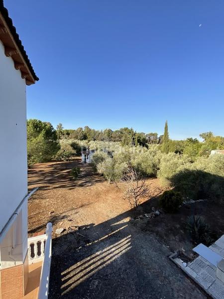 Foto 405c8ee4-7963-4665-9c9a-bf6ac7c04e87. Masía se vende finca rústica. en Centro ciudad Linares