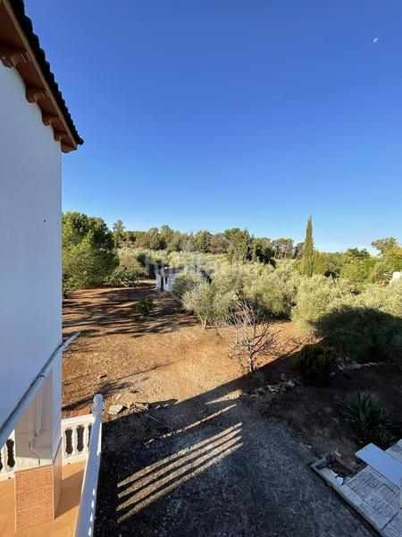 Foto 664a9d17-1498-4c1b-b87d-2b8108e54655. Masía se vende finca rústica. en Centro ciudad Linares